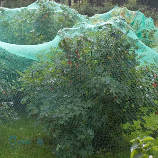 Anti-Bird Netting