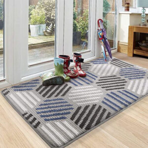 Blue Washable Doormat