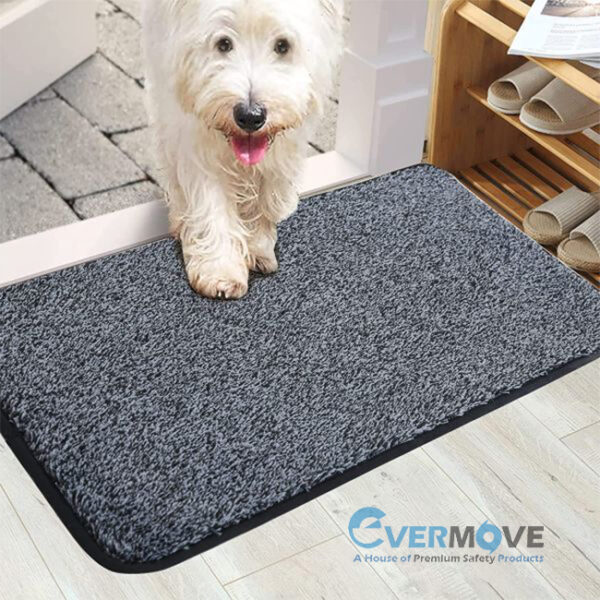 Indoor Non-Slip Washable Mats