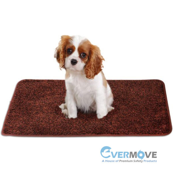 Non-Slip Washable Doormat