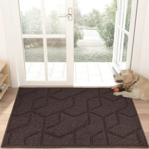 Non-Slip Washable Entrance Rug