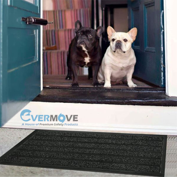 Entrance Door Mat Outdoor